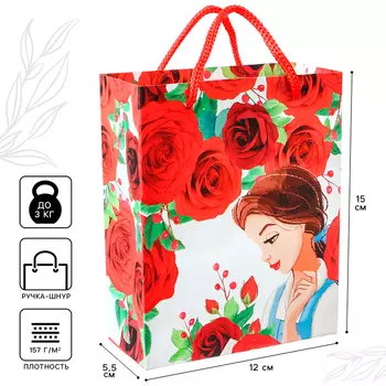 Пакет подарочный "Подарок для тебя" 12х15х5.5 см, Принцессы