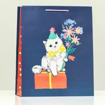 Пакет подарочный "Подарок доставлен", 26 х 32 х 12 см