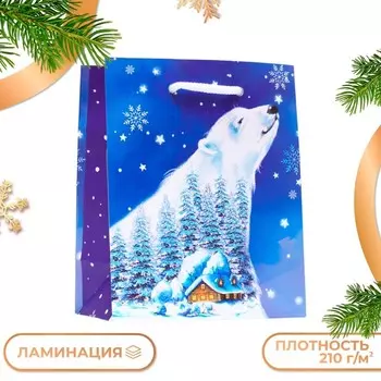 Пакет подарочный «Полярный мишка», 11.514.56.5 см