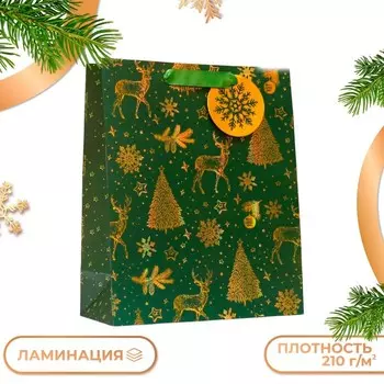 Пакет подарочный "Позолоченный", 26 х 32 х 12 см