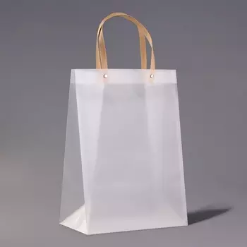 Пакет подарочный PP, прозрачный, матовый, 251535 см