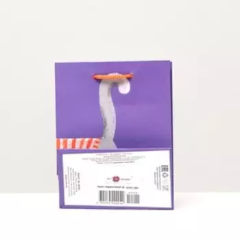 Пакет подарочный "Праздничный котик", 11,5 х 14,5 х 6,5 см