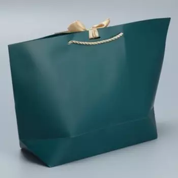 Пакет подарочный, упаковка, Present, 26 х 25 х 11 см