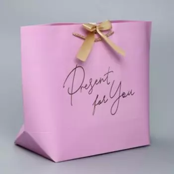 Пакет подарочный, упаковка, «Present», 30 х 27.5 х 12 см