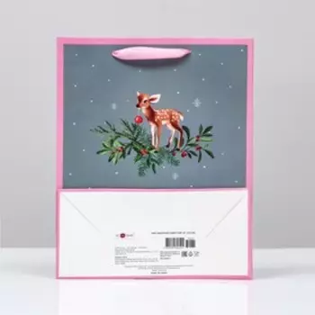 Пакет подарочный "Приглашение в гости", 26 х 32 х 12 см