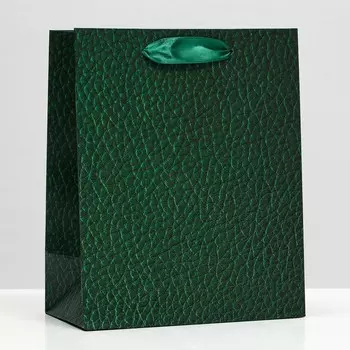 Пакет подарочный "Рептилия", зелёный, 18 х 22,3 х 10 см