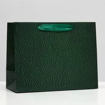 Пакет подарочный "Рептилия", зелёный, 23 х 17,8 х 9,8 см