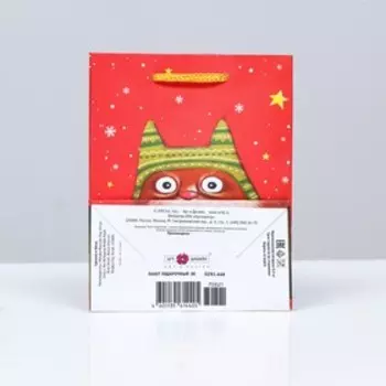 Пакет подарочный "Рыжий кот", 11,5 х 14,5 х 6,5 см