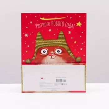 Пакет подарочный "Рыжий кот", 26 х 32 х 12 см