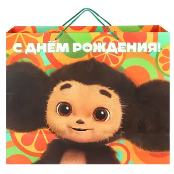 Пакет подарочный «С днём Рождения!», 494019 см, упаковка, Чебурашка