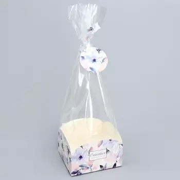 Пакет подарочный с коробкой, упаковка, «Цветы», 12 х 12 х 40 см