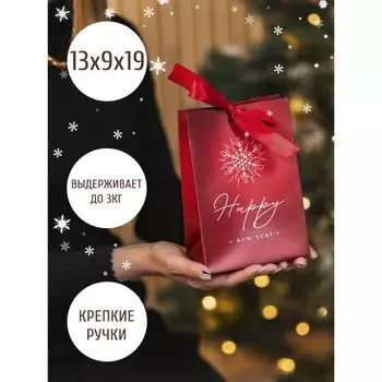 Пакет подарочный с лентой «Happy New Year», 13 19 9 см