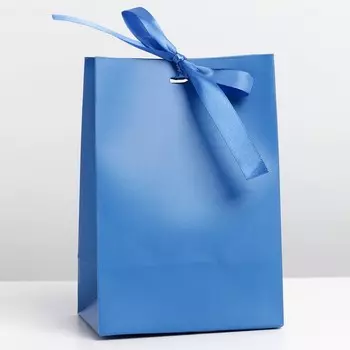 Пакет подарочный с лентой «Синий», 13 × 19 × 9 см