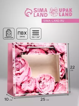 Пакет подарочный с окном «Цветы», 251022 см