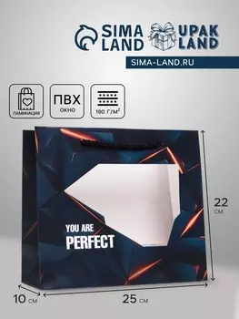 Пакет подарочный с окном Perfect, 251022 см