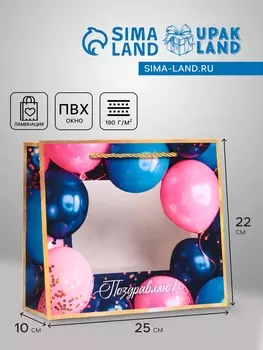 Пакет подарочный с окном «Поздравляю», 251022 см