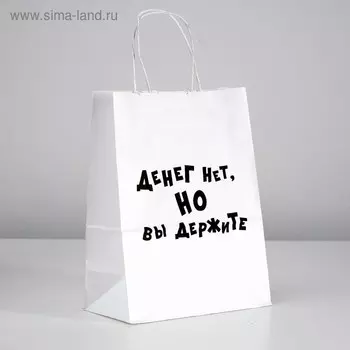Пакет подарочный с приколами «Денег нет, но вы держите», 24 х 14 х 30 см