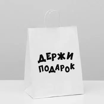 Пакет подарочный с приколами, крафт «Держи подарок», белый, 241028 см