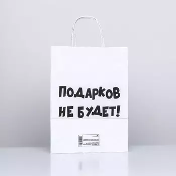 Пакет бумажный подарочный новогодний крафт с приколами, «Подарков не будет!», белый, 28 х 24 х 14 см.