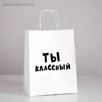 Пакет подарочный «Ты классный», 2410.532 см