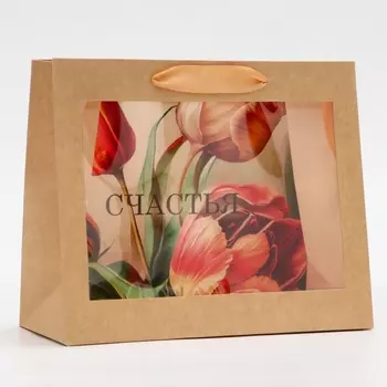 Пакет подарочный с PVC окном, «Счастья», 241120 см