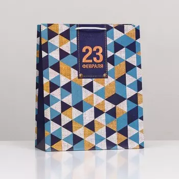 Пакет подарочный "С заботой на 23 февраля", 26 х 32 х 12 см