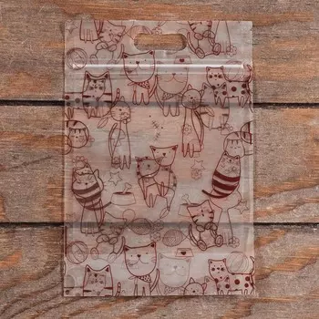 Пакет подарочный, с zip - lock застежкой, 1523 см