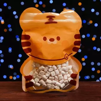 Пакет подарочный, с zip-lock застежкой 18 х 22 см