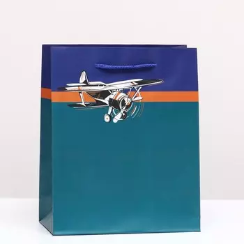 Пакет подарочный "Самолет" 18 х 22,3 х 10 см