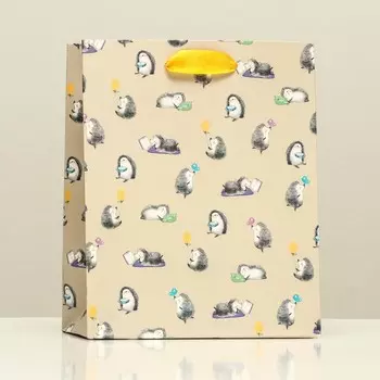 Пакет подарочный "Счастливый ёжик", 18 х 22,3 х 10 см