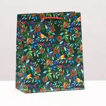 Пакет подарочный "Шишки", 18 х 22,3 х 10 см