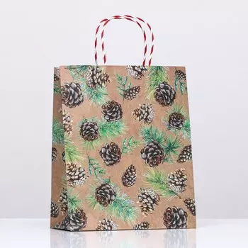 Пакет подарочный "Шишки в снегу" 26 х 32 х 12 см