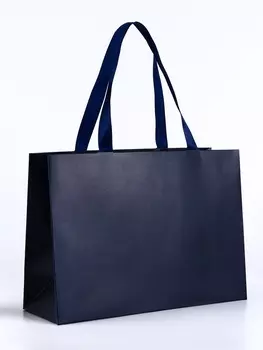 Пакет подарочный «Синий», 282010 см