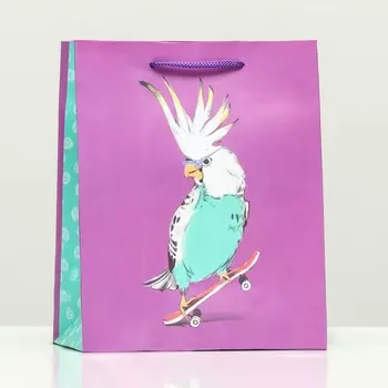 Пакет подарочный «Скейтбордист», 1822.310 см