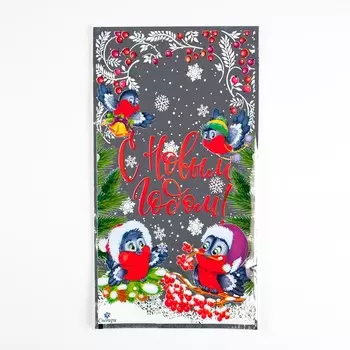 Пакет подарочный «Снегири» 2035 см