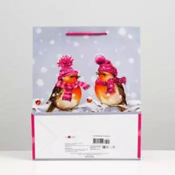 Пакет подарочный "Снегири", 26 х 32 х 12 см