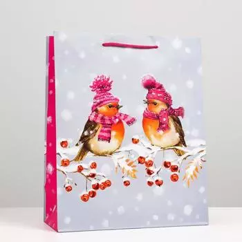 Пакет подарочный "Снегири", 26 х 32 х 12 см
