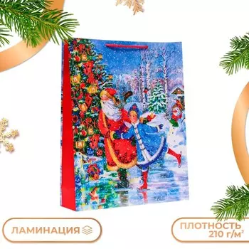 Пакет подарочный новогодний ламинированный «Со снегурочкой», 3342.510 см