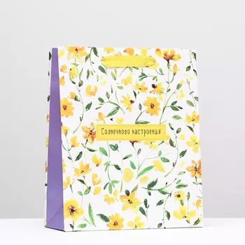 Пакет подарочный "Солнечного настроения", 26 х 32 х 12 см