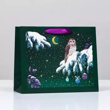 Пакет подарочный новогодний ламинированный «Сова в ночи» , 322612 см