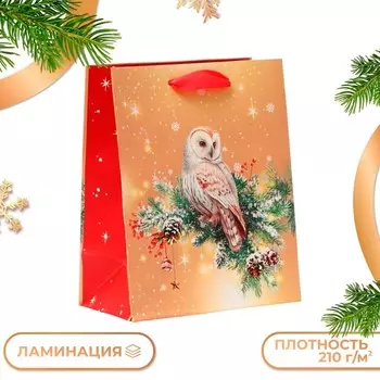 Пакет подарочный новогодний ламинированный «Совушка», 1822.310 см