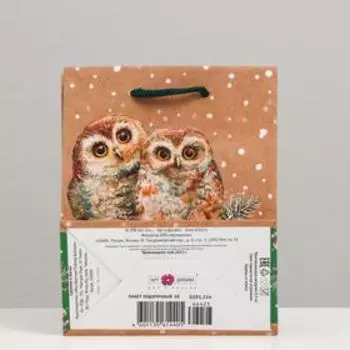 Пакет подарочный "Совы", 11,5 х 14,5 х 6,5 см