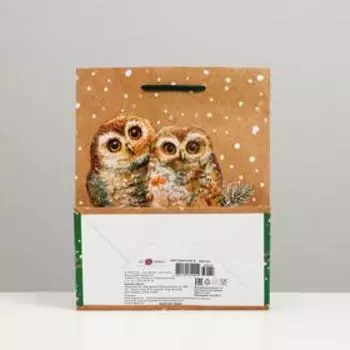 Пакет подарочный "Совы", 18 х 22,3 х 10 см