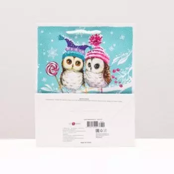 Пакет подарочный "Совы на ветке", 18 х 22,3 х 10 см