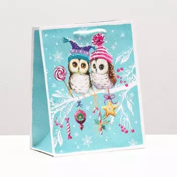 Пакет подарочный "Совы на ветке", 18 х 22,3 х 10 см