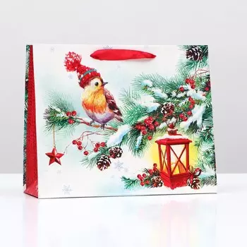 Пакет подарочный "Спокойствие" , 32 х 26 х 12 см