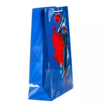 Пакет подарочный Superman-3, большой, 250х350х100 мм