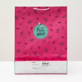 Пакет подарочный "Тебя любят", 33 х 42,5 х 10 см