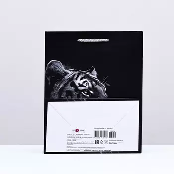 Пакет подарочный "Тигр", 18 х 22,3 х 10 см