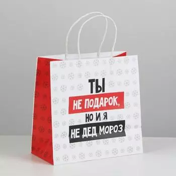 Пакет подарочный новогодний «Ты не подарок», 22 х 22 х 11 см